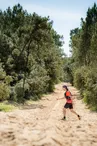 Forêt de Saint-Trojan-les-Bains