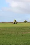 Les Saloches - Souhe