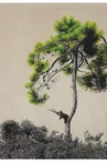 Exposition illustrations - Dominique Schoenig