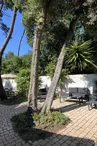 Studio avec jardin privé sur la forêt de Domino