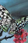 Jean Paul Garcia painting exhibition