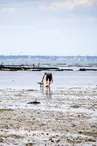 Exhibition - Fishing on foot